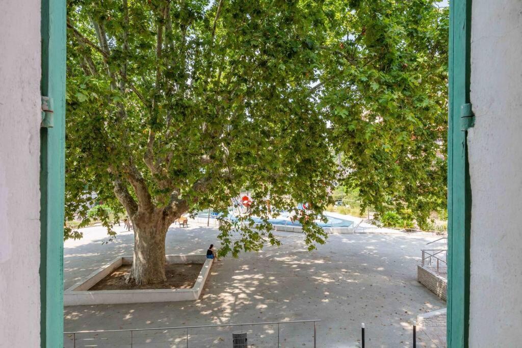 קאן Le Vallombrosa T2 מראה חיצוני תמונה