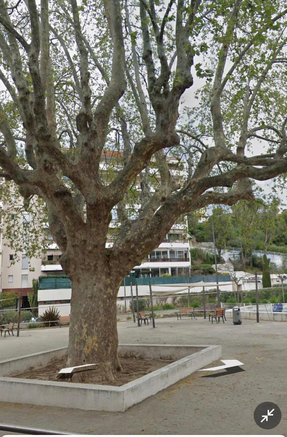 קאן Le Vallombrosa T2 מראה חיצוני תמונה